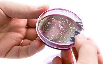 Bakterijos prostatos sekrete